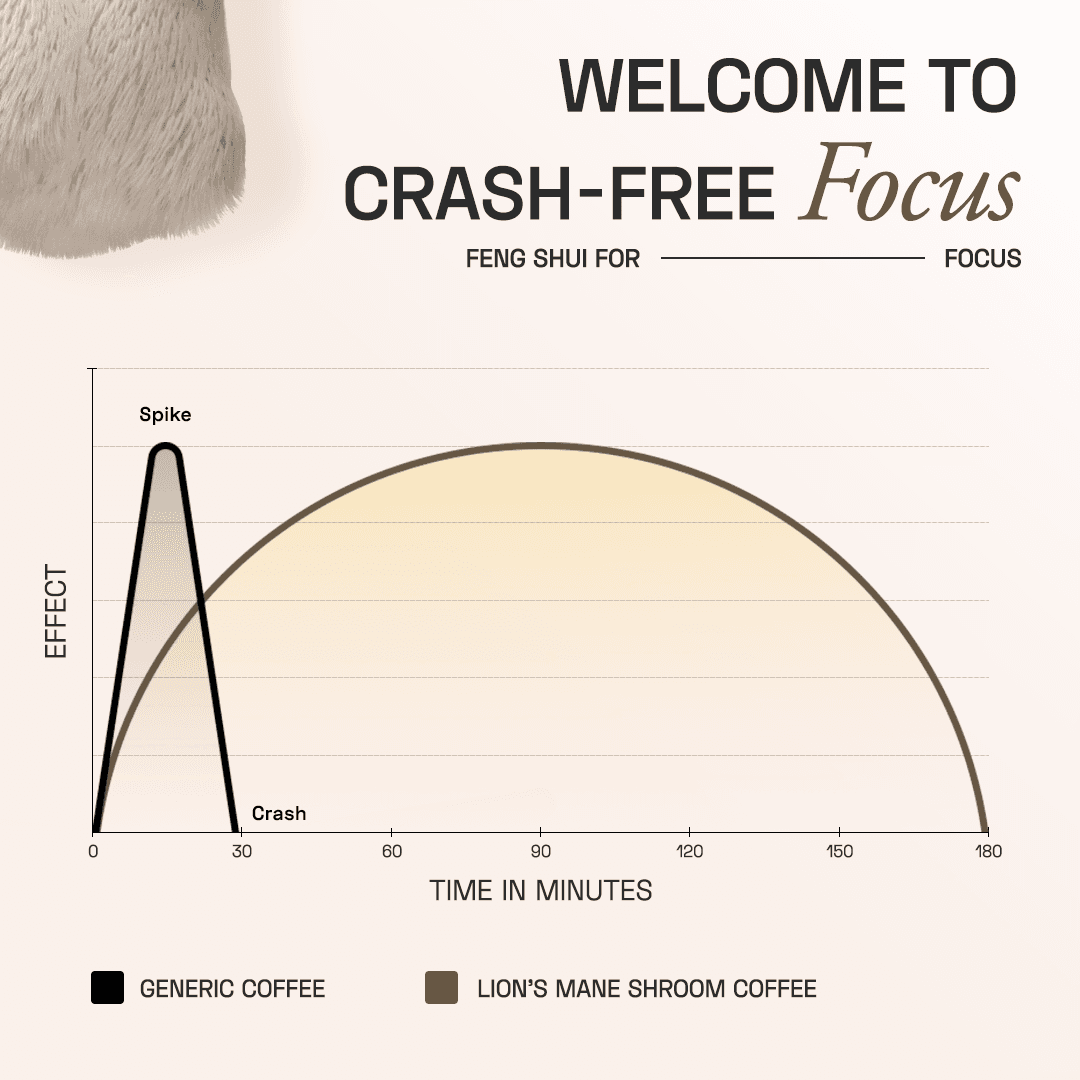 Lion's Mane Shroom Coffee