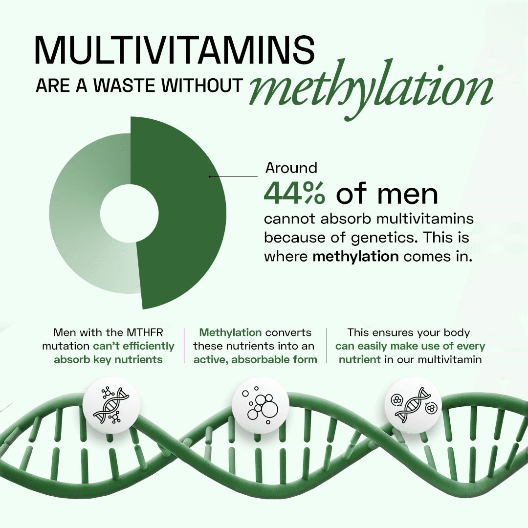 Men's Methylated Multivitamin