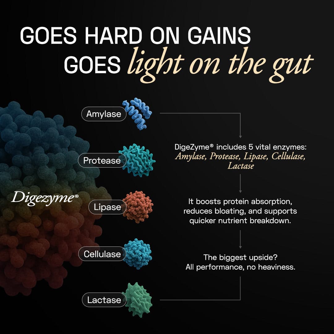 Premium Plant Protein | Intense