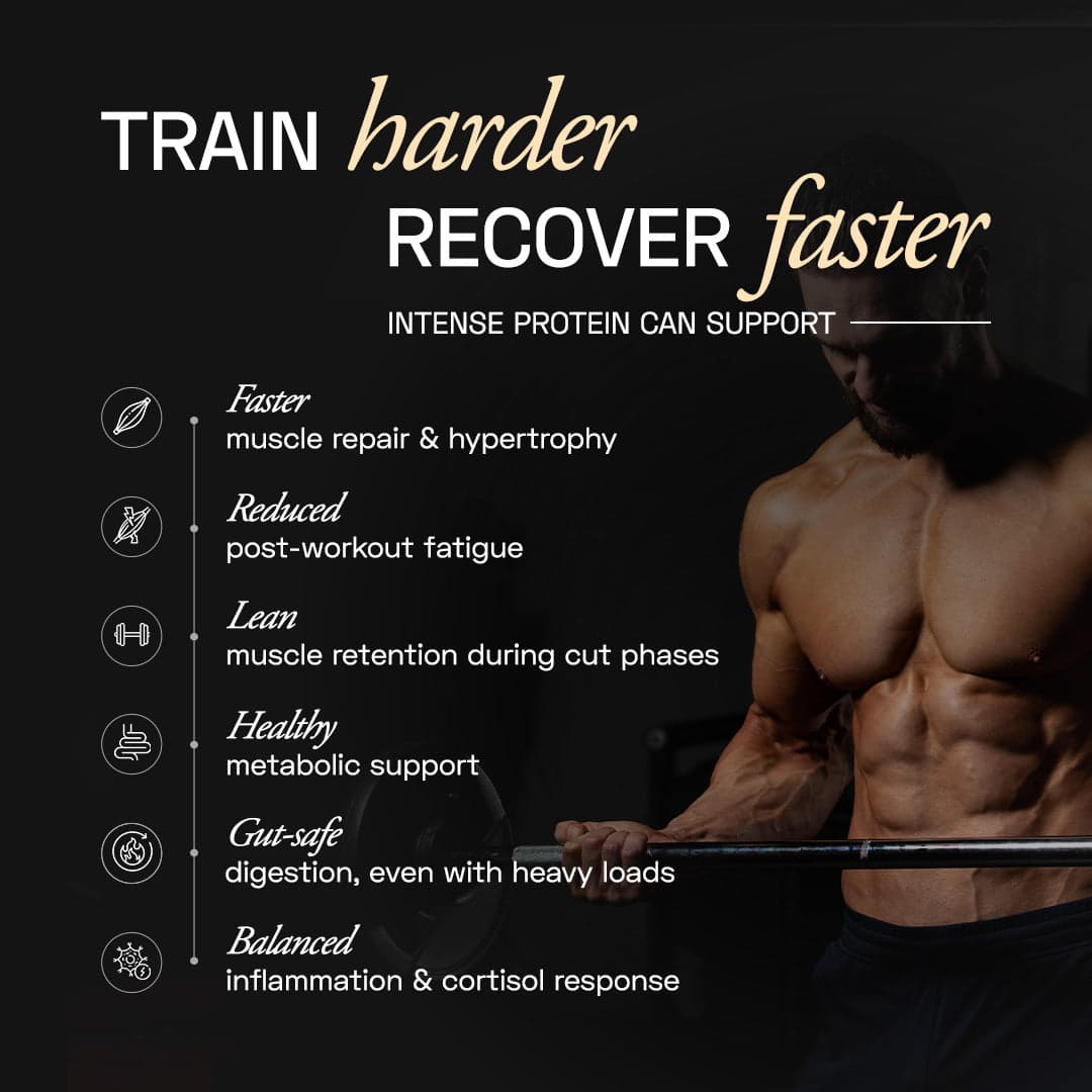 Premium Plant Protein | Intense